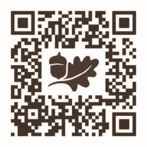 Mobile Experience QR Code